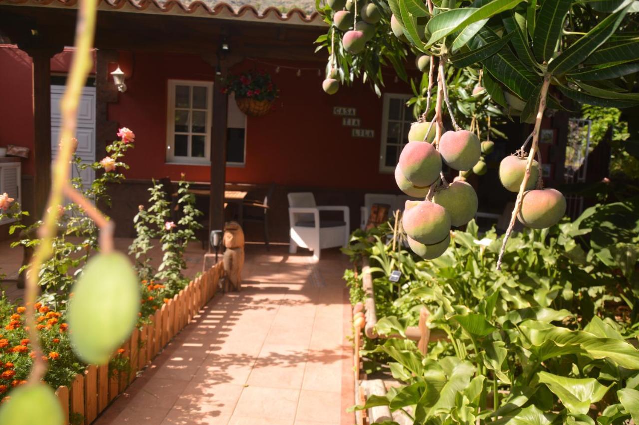 Holiday House Tia Lila San Sebastián de la Gomera Kültér fotó